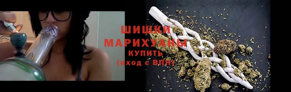 PSILOCYBIN Киреевск