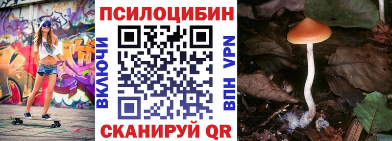 Купить закладки  Щёлково  Галлюциногенные грибы мицелий 
